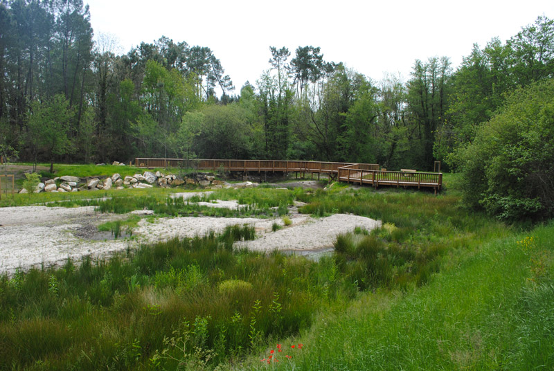 Restauration de la continuité écologique au niveau de deux ouvrages de la Saye